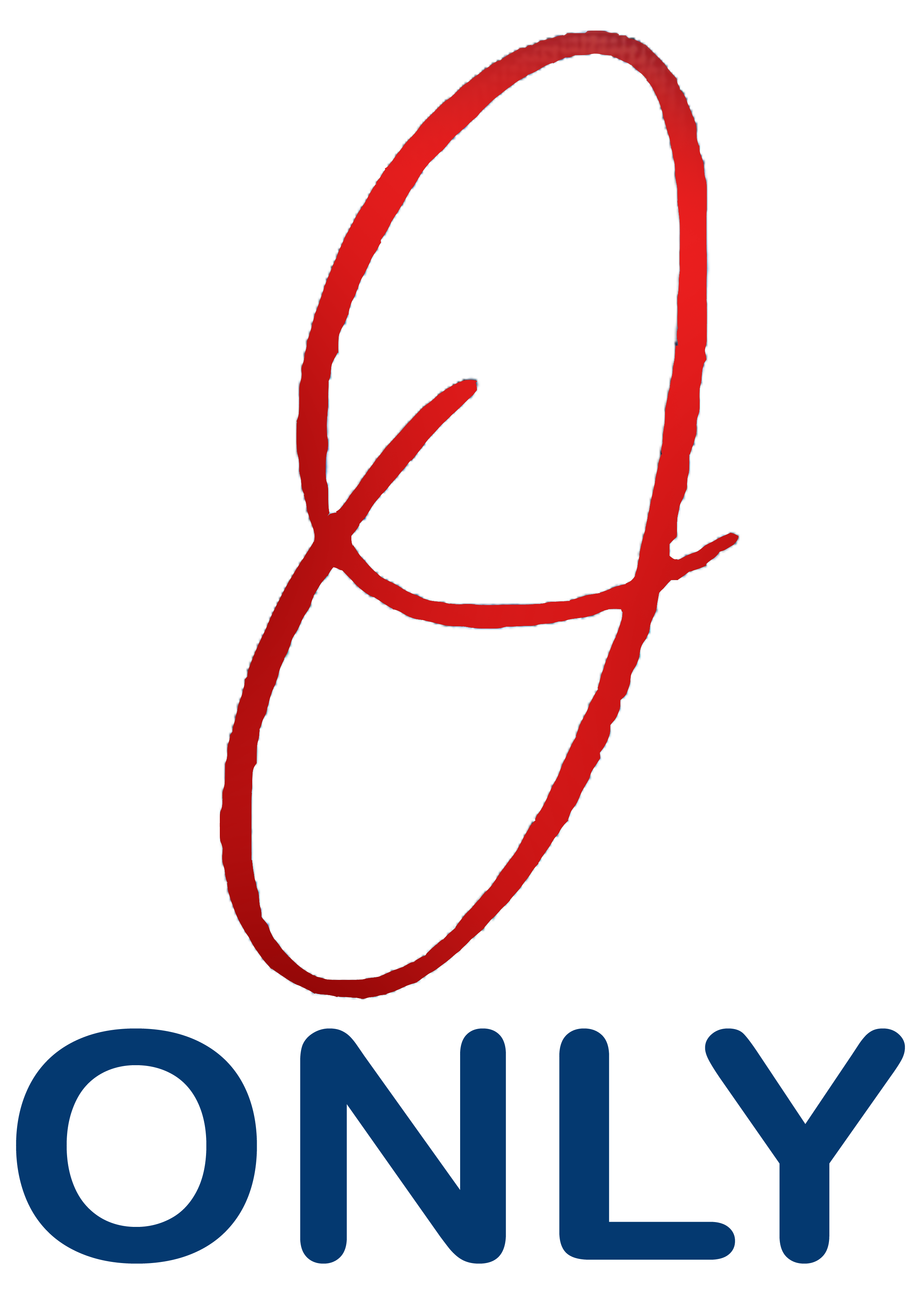 ONLY LLC - logo